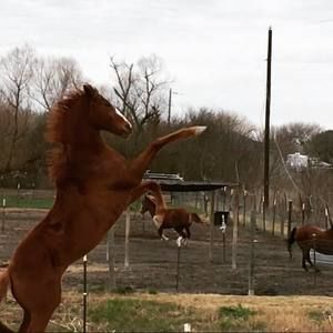 Meet your Posher, Erin